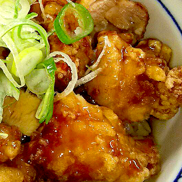 お品書き 丼もの お食事処かわかみ