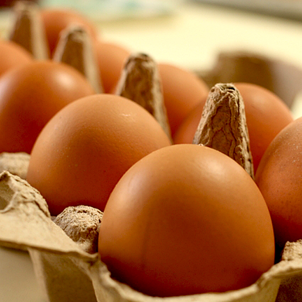 お品書き 麺・飯 お食事処かわかみ